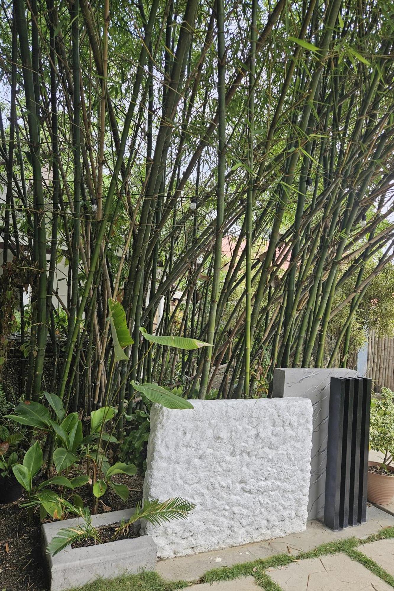Oceanside 2 Bedroom House, 100Mbps Wifi Panglao Dış mekan fotoğraf