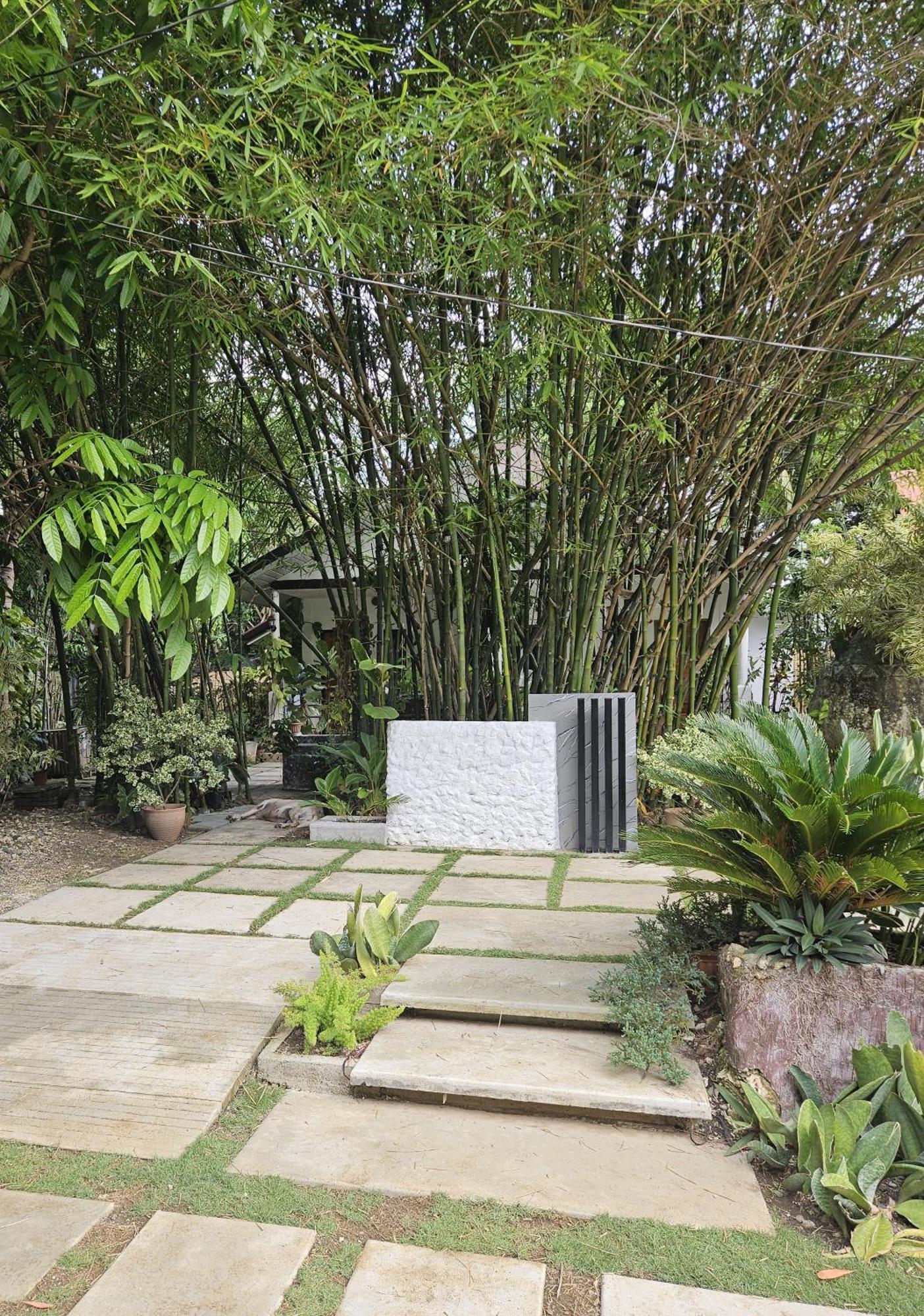 Oceanside 2 Bedroom House, 100Mbps Wifi Panglao Dış mekan fotoğraf